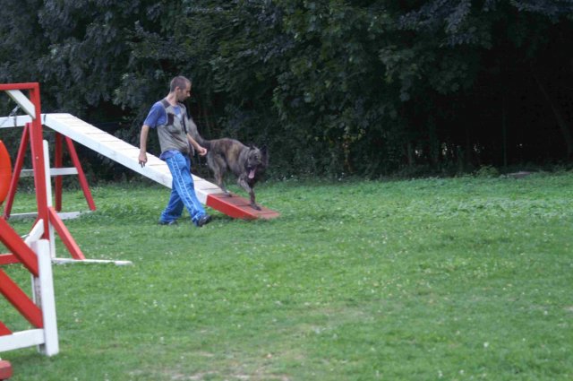 agility 2011-09